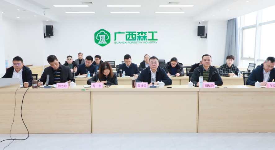 202503040915217ed085